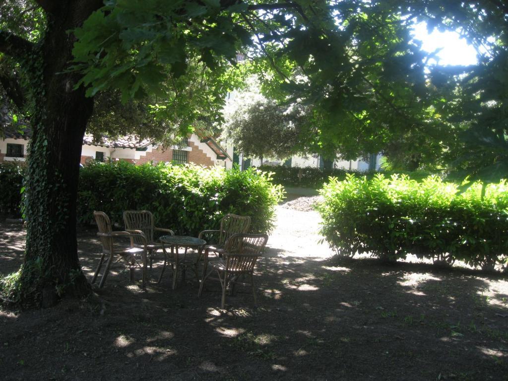 Villa Patrizia B&B Lucca Exterior foto